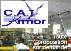 CAT ARMOR