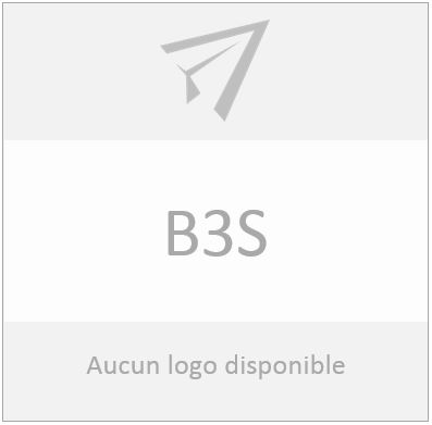 Logo B3S