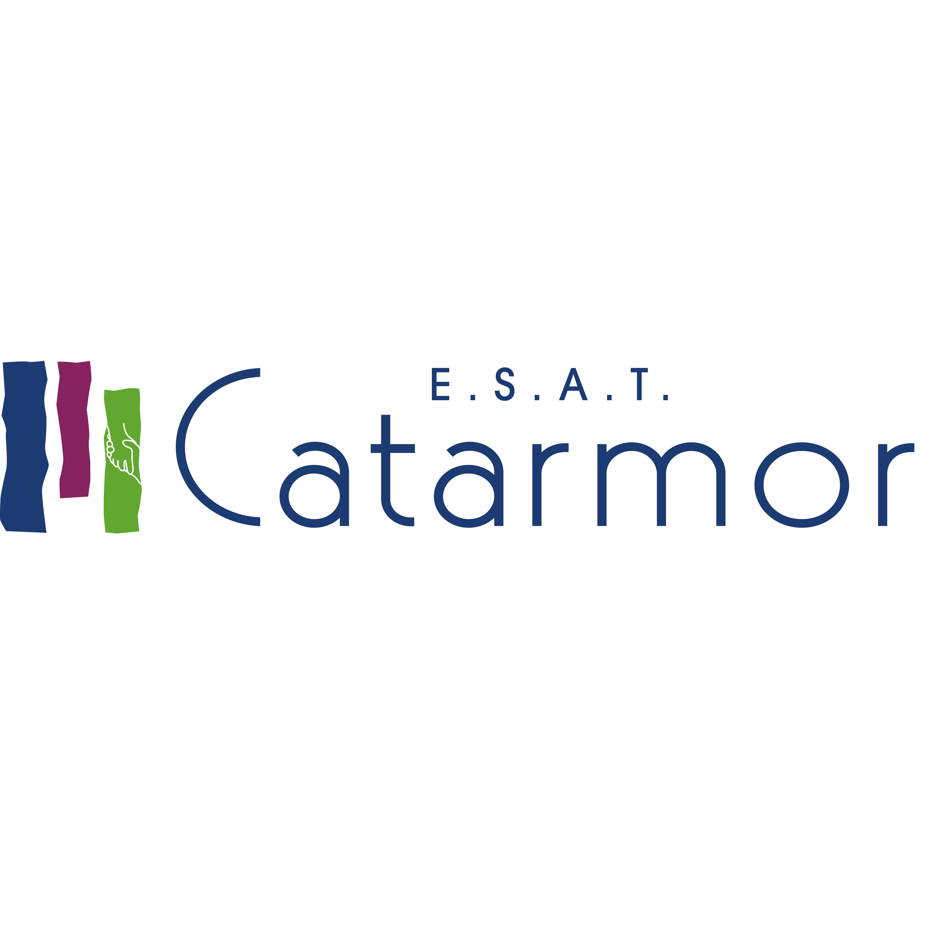 Logo CATARMOR