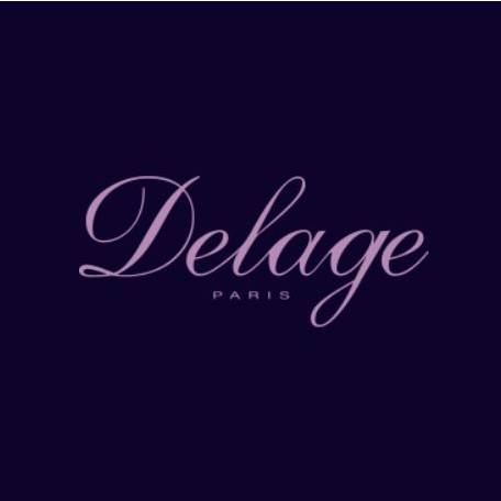 Logo DELAGE BOUTIQUE